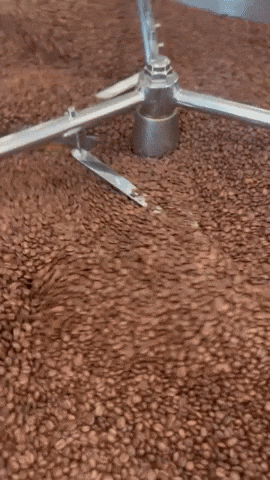 Fresh Roasted Coffee Beans